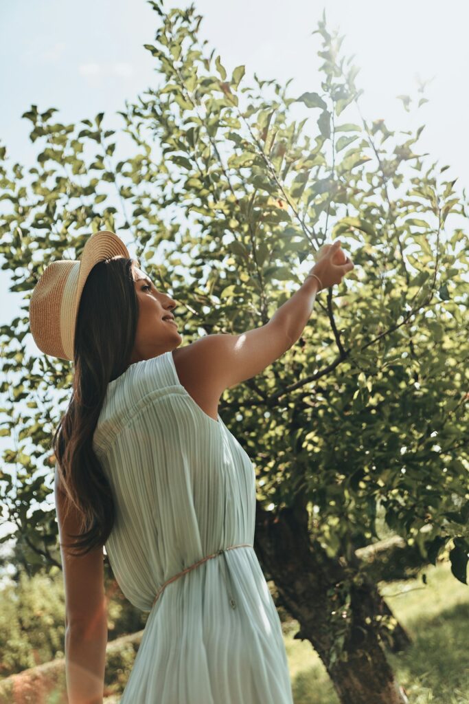 Picking fruits.